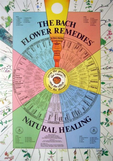 Printable Bach Flower Remedies Chart Pdf